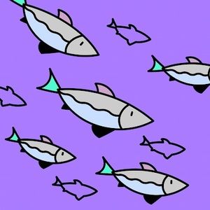 Meet your Posher, Roxanne